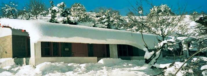 495/Mountain Trail Resort - Mukteshwar 03.jpg